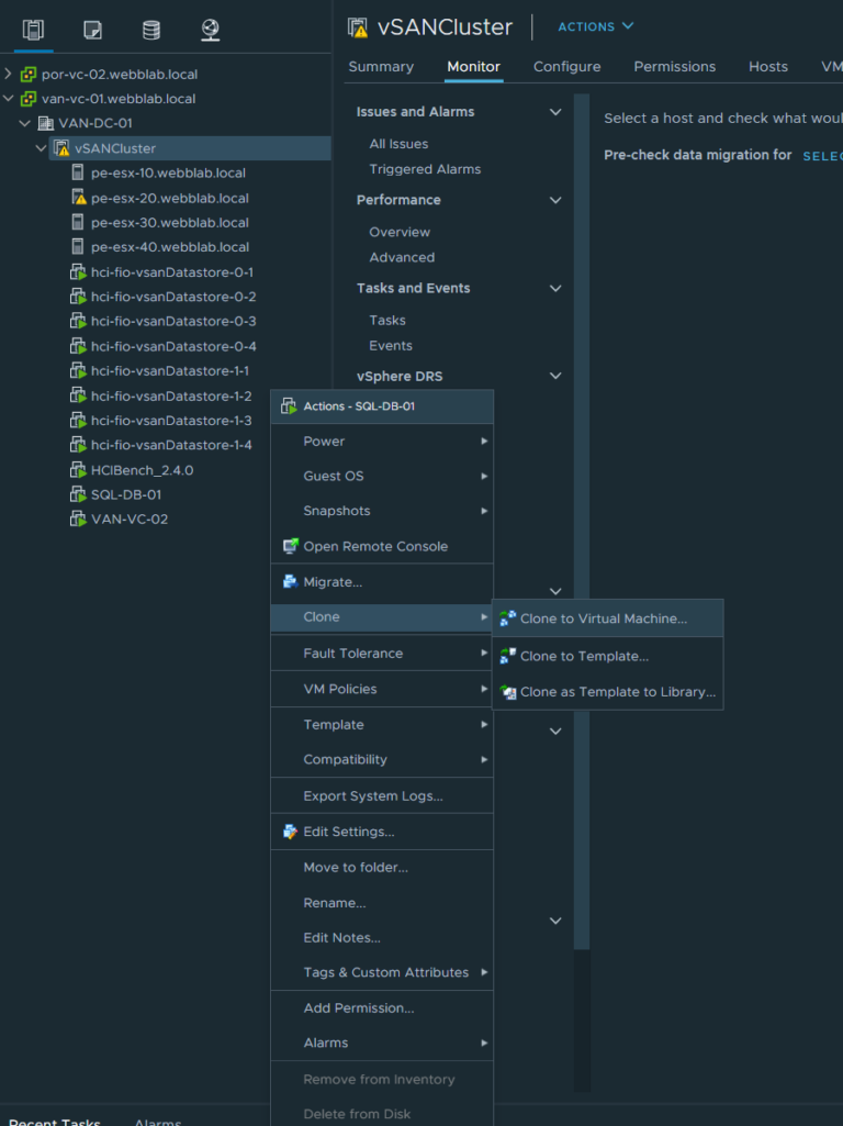 Cloning Operations in vSphere DinoCloud